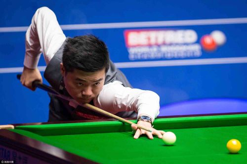 他们更愿意 他们更愿意