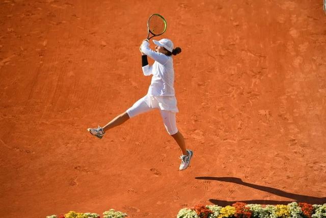 的顶层协调 的顶层协调