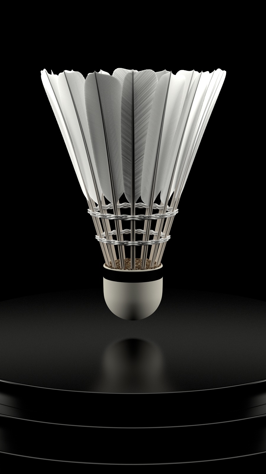 切断V5入 切断V5入